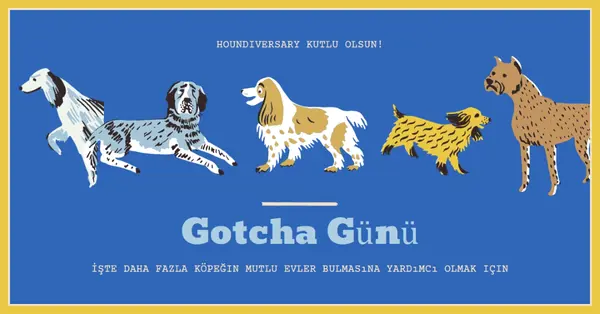 Daha fazla köpeğin ev bulmasına yardımcı olmak blue dog,illustration,playful