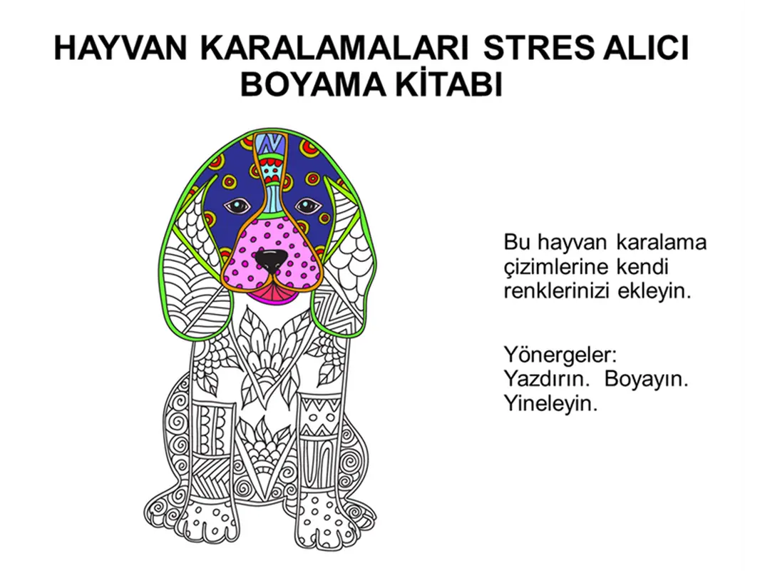 Hayvan karalamaları stres atıcı boyama kitabı