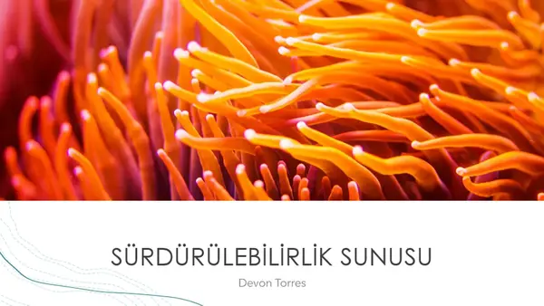 Okyanus sunusu organic-simple