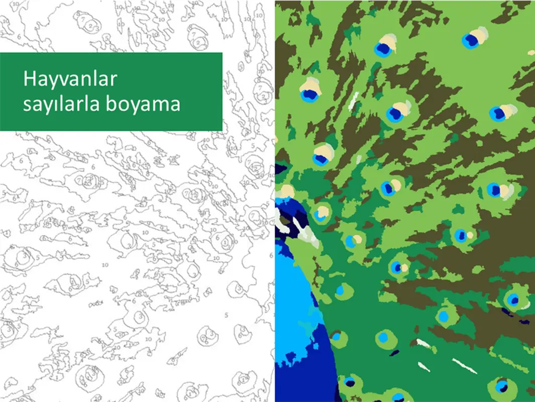 Hayvanlar sayılarla boyama
