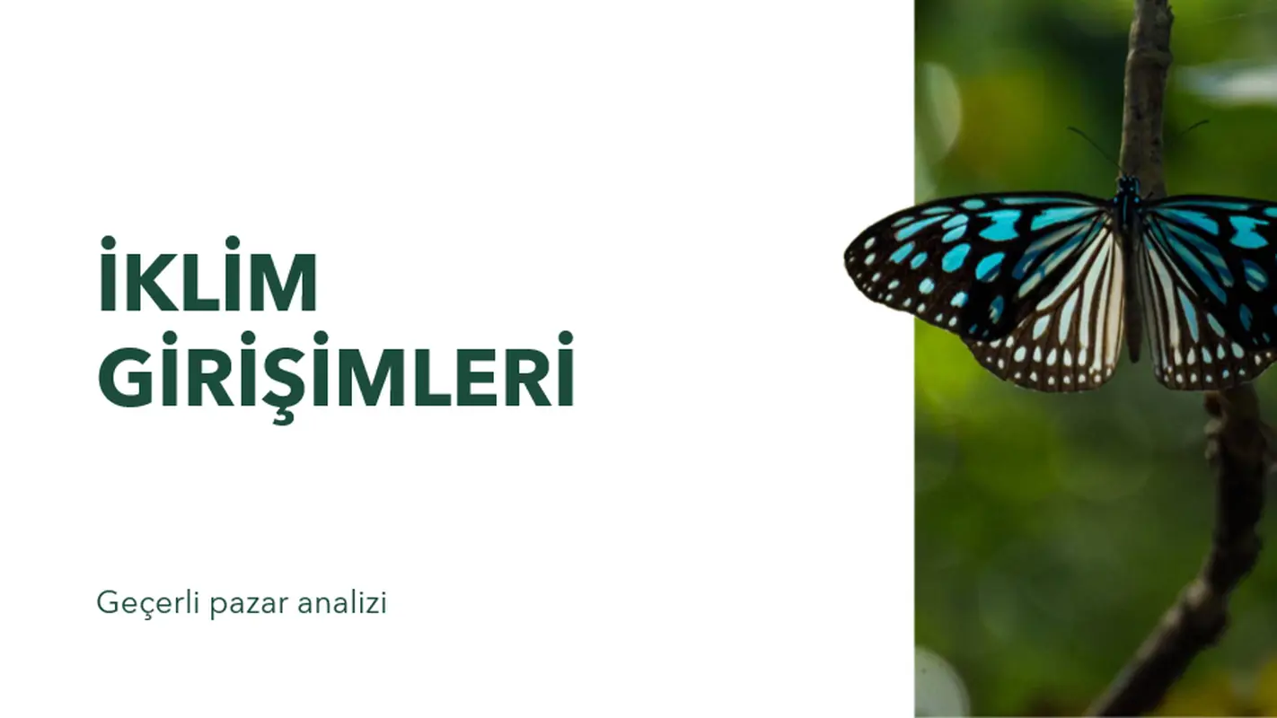 Doğa kursu sunusu modern geometric