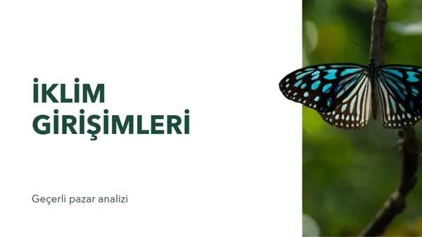 Doğa kursu sunusu modern geometric