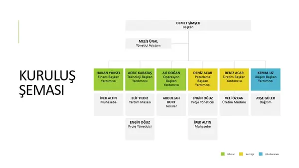 Basit organizasyon şeması modern simple