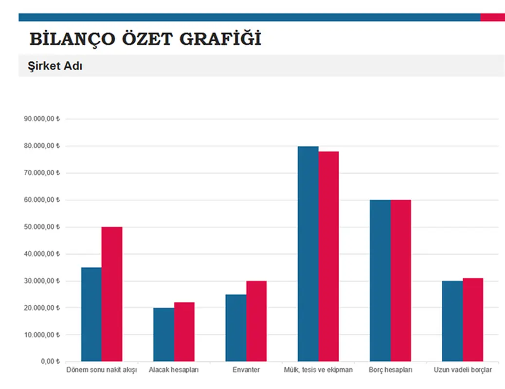 Bütçe özet raporu