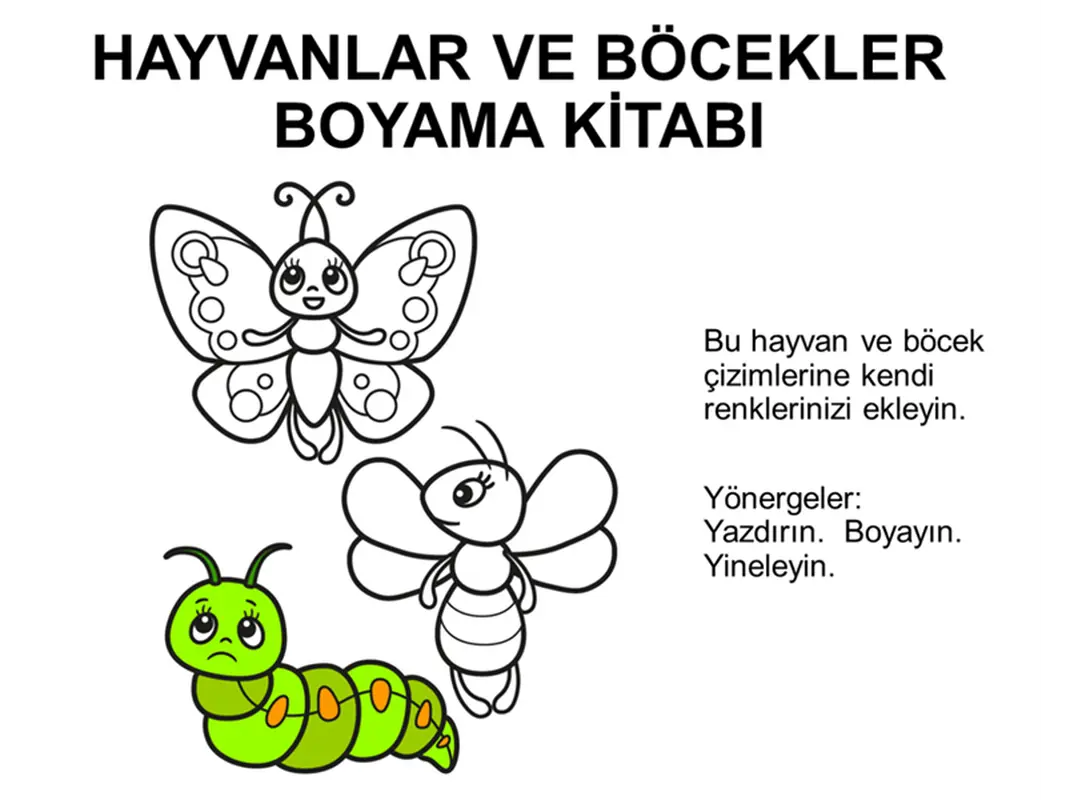 Hayvanlar ve böcekler boyama kitabı