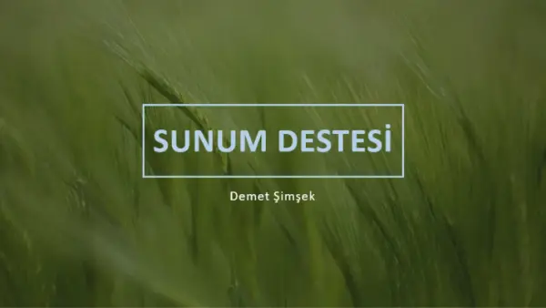 Yeşil tanıtım sunumu green modern-simple