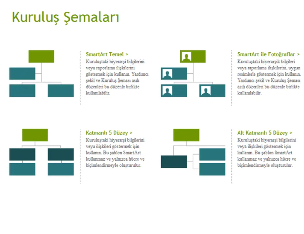Kuruluş şemaları (görsel)