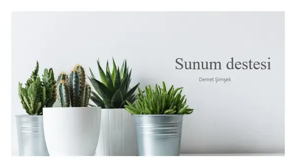 Satış sunumuna ilişkin yalın sunu modern-simple