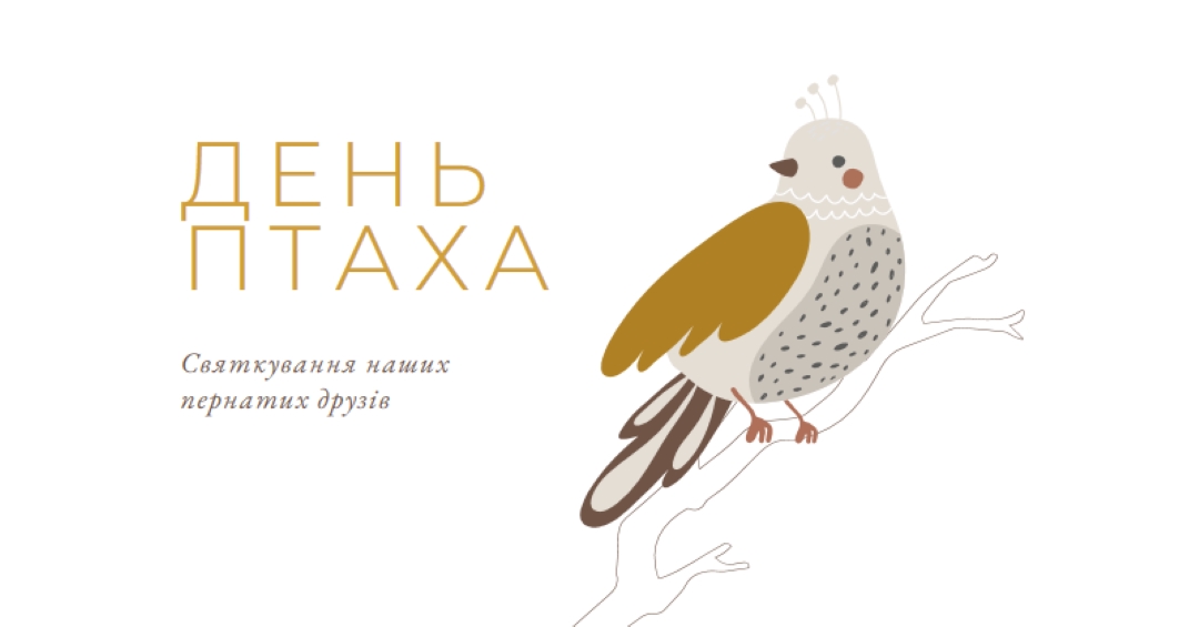 Обмеження в Небі white whimsical-line