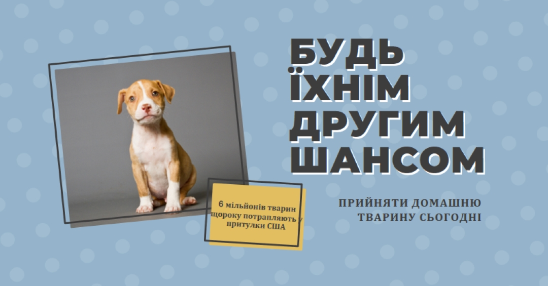 Другий шанс pup blue modern-bold