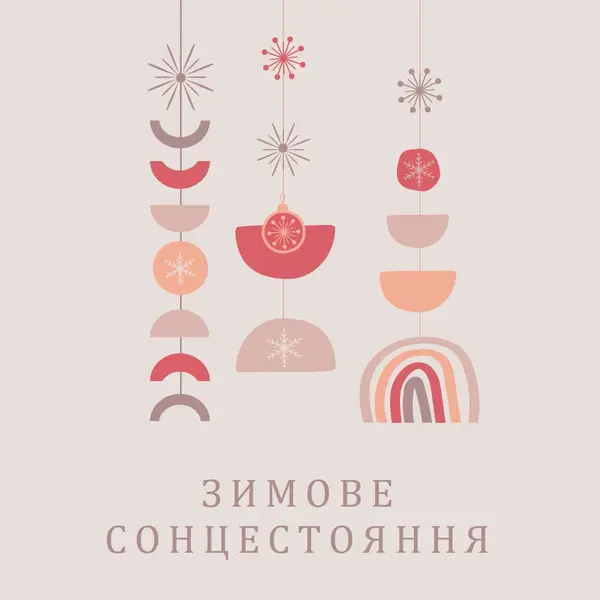 Прекрасне зимове сонцестояння gray organic-boho