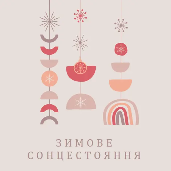 Прекрасне зимове сонцестояння gray organic-boho