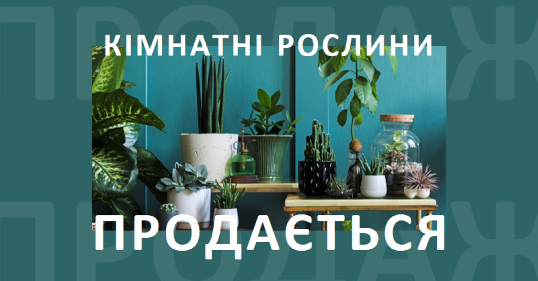 Живлення рослини green modern-bold