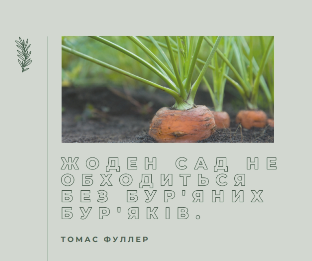 Глибоке коріння green modern-simple