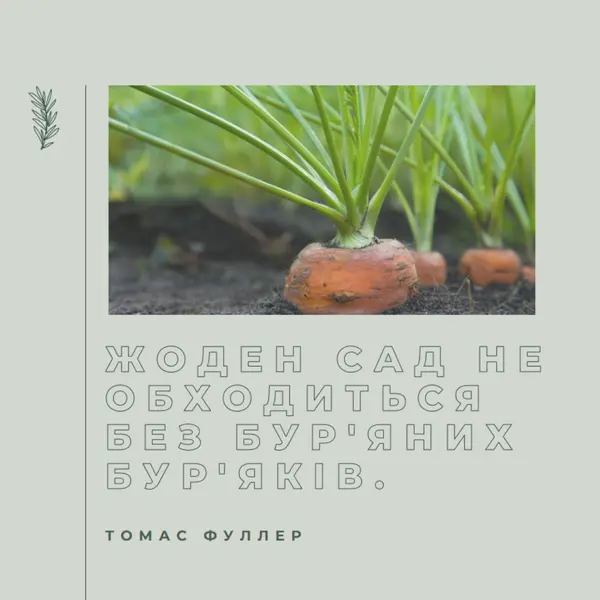 Глибоке коріння green modern-simple