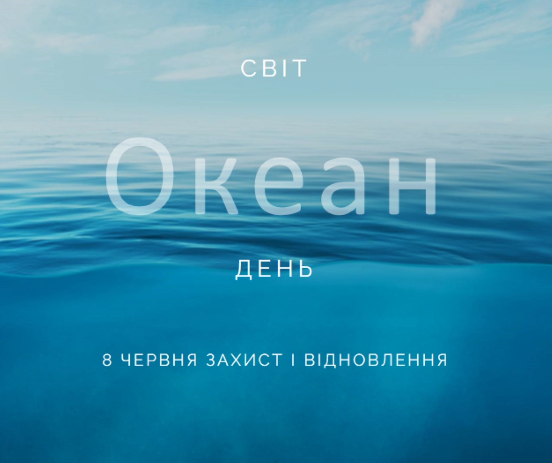 Отримання солоної blue modern-simple