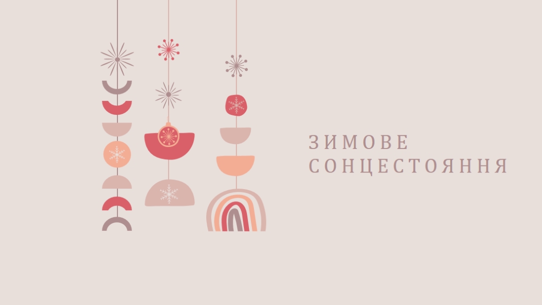 Прекрасне зимове сонцестояння gray organic-boho