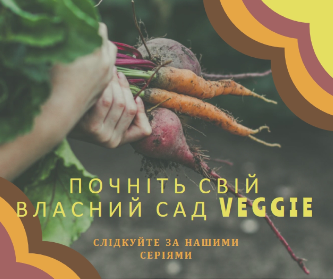 Викорчовувати життя orange vintage-retro