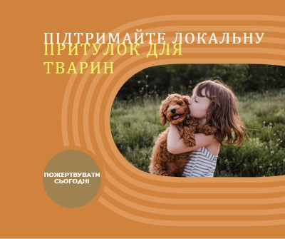 Помічник із притулку orange whimsical-color-block