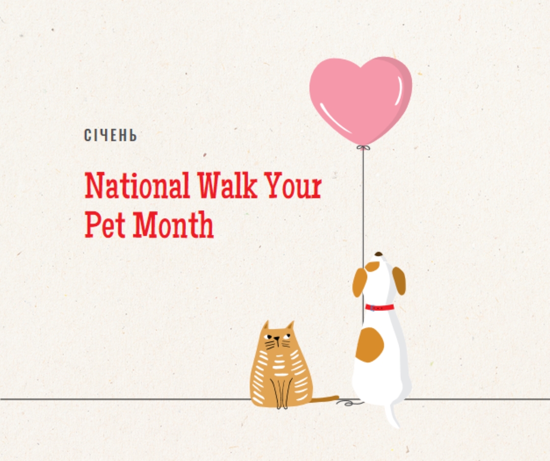 Прогулянка зі мною gray whimsical-color-block