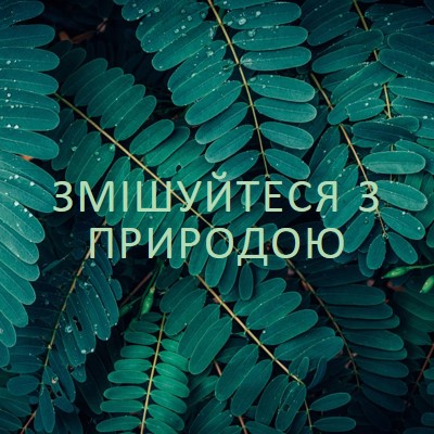 Змішуйтеся з природою green modern-simple