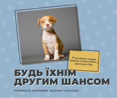 Другий шанс pup blue modern-bold