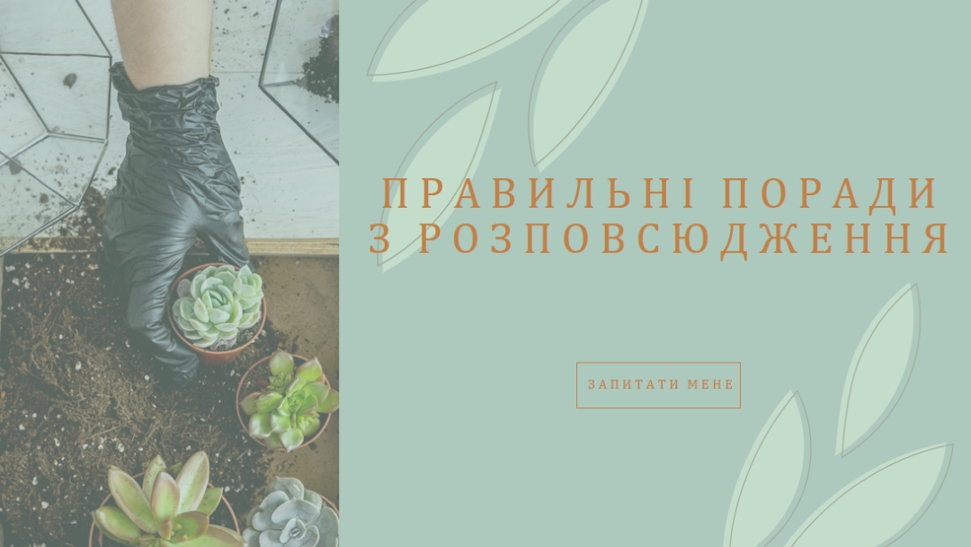 Просто соковитий green organic-simple