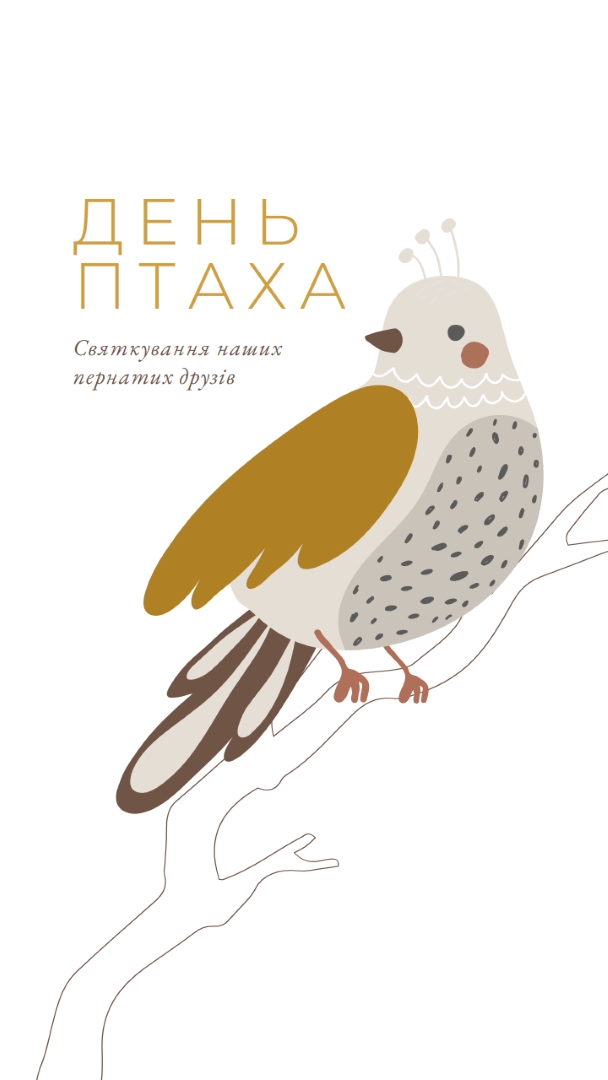 Обмеження в Небі white whimsical-line