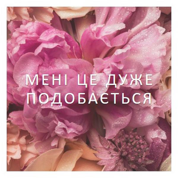 Квіткові почуття pink modern-simple