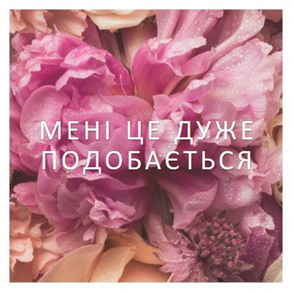 Квіткові почуття pink modern-simple