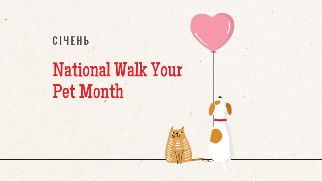 Прогулянка зі мною gray whimsical-color-block