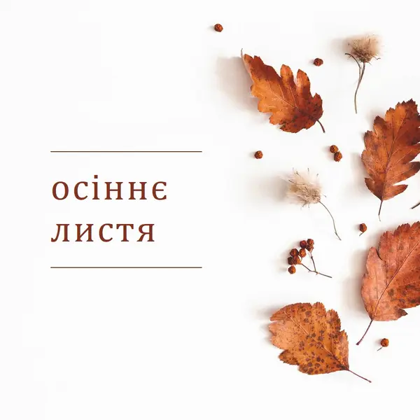 Листя впало white modern-simple