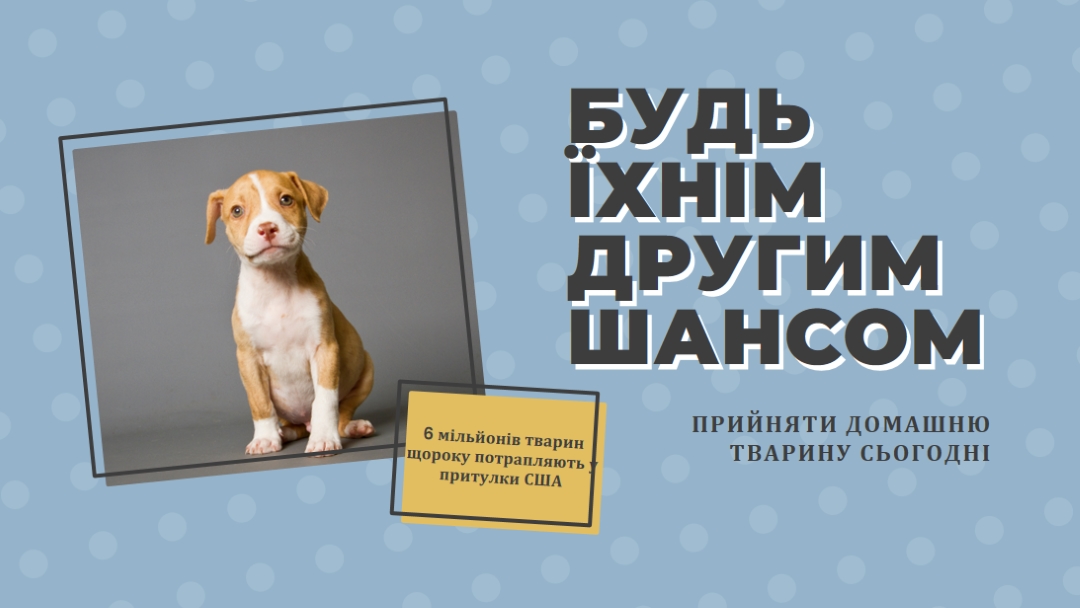 Другий шанс pup blue modern-bold