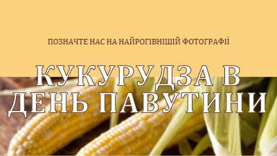 Загін павутини yellow modern-simple