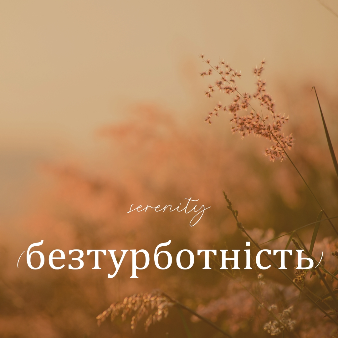 Поля безтурботності brown modern,minimal,nature,quiet,soft,plants