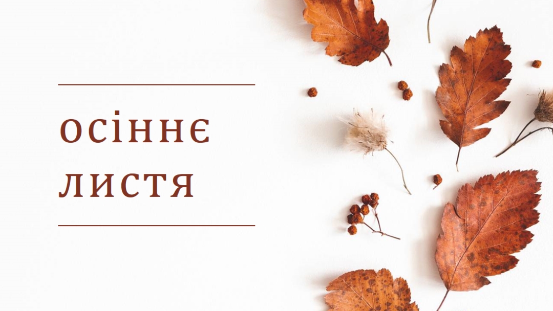Листя впало white modern-simple
