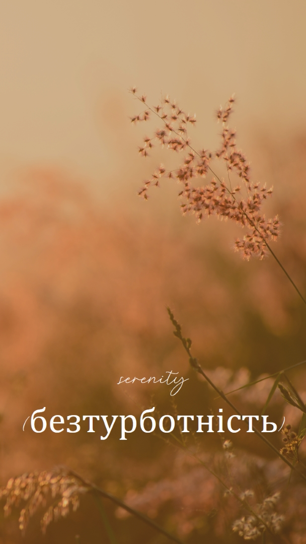 Поля безтурботності brown modern,minimal,nature,quiet,soft,plants