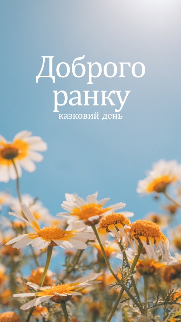 Казковий день blue modern,simple,photography,flowers,birght,fresh