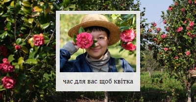 Час для вас, щоб квітка green simple,photo,collage