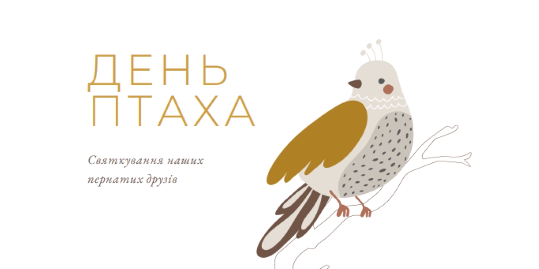 Обмеження в Небі white whimsical-line