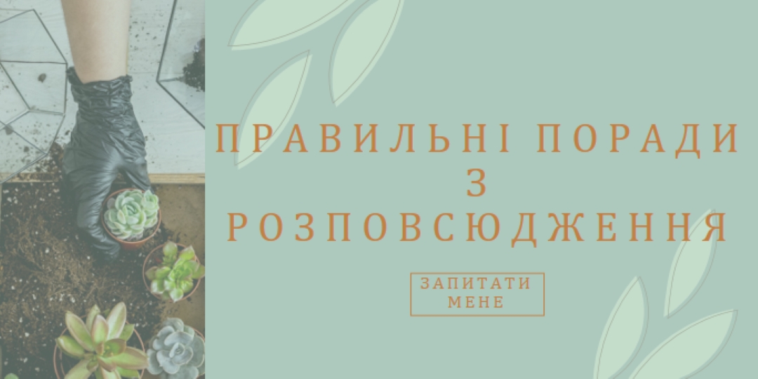 Просто соковитий green organic-simple