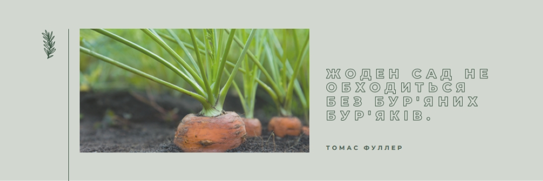 Глибоке коріння green modern-simple