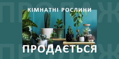 Живлення рослини green modern-bold