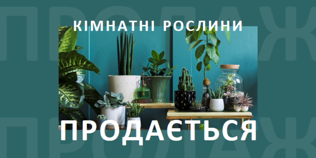 Живлення рослини green modern-bold