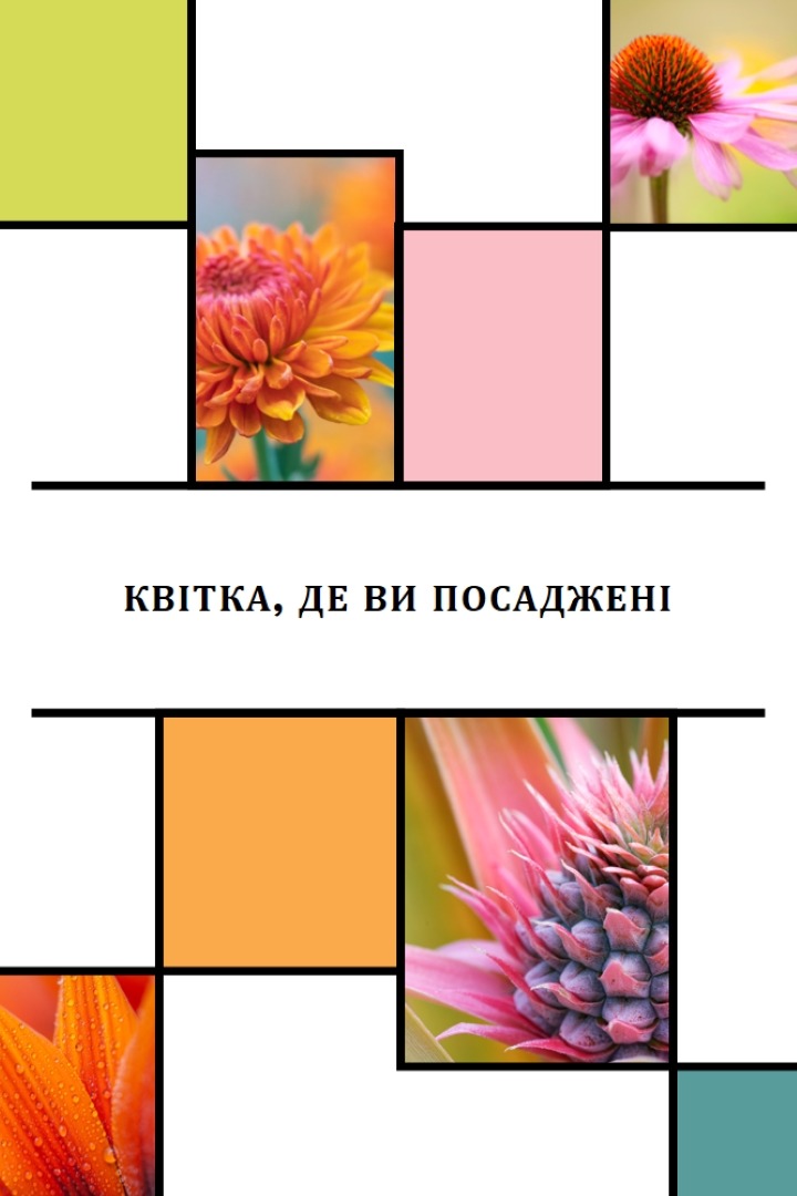 Квітка, де ви посаджені white modern-geo-&-linear