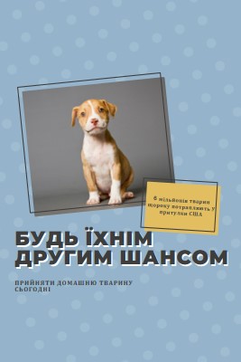 Другий шанс pup blue modern-bold