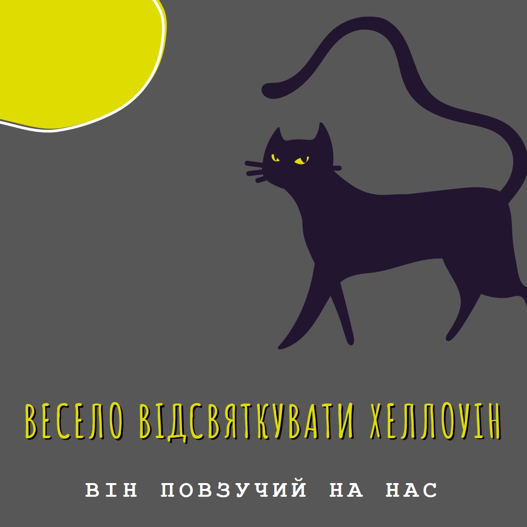 Моторошний кіт black whimsical-color-block