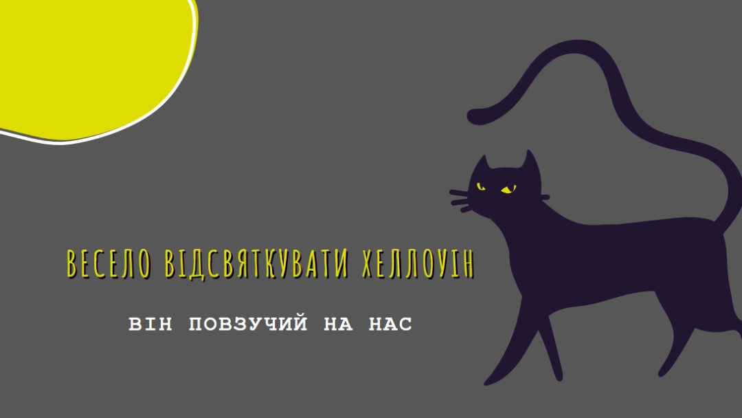 Моторошний кіт black whimsical-color-block
