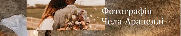 Банер брендингу фотографій Boho brown simple,soft,romantic