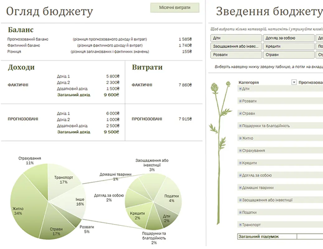 Сімейний бюджет (щомісячний) modern simple